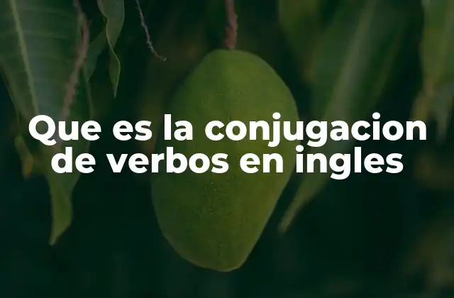 Que es la Conjugacion de Verbos en Ingles