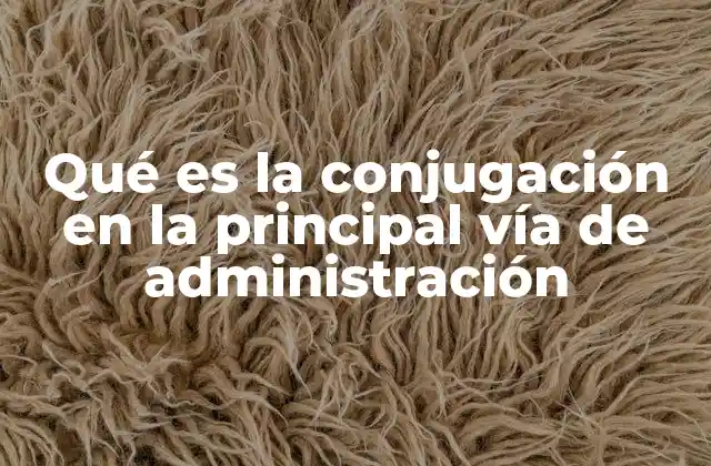 Qué es la Conjugación en la Principal Vía de Administración