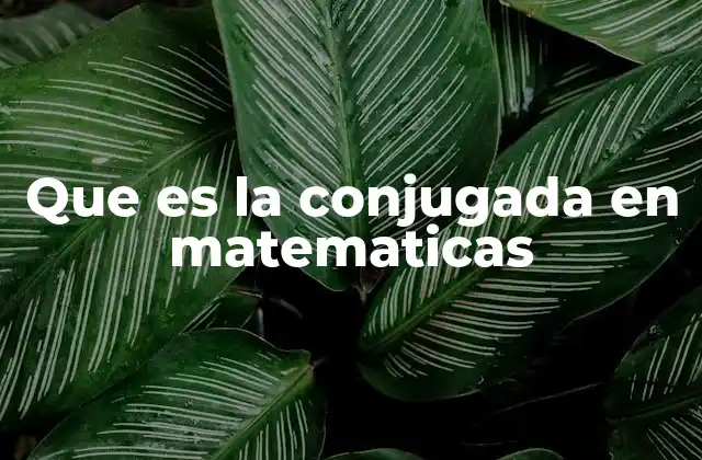 Que es la Conjugada en Matematicas