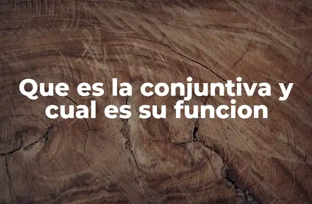 Que es la Conjuntiva y Cual es Su Funcion