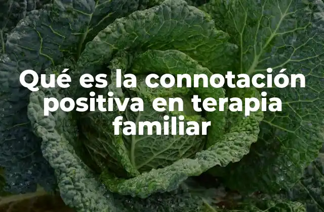 Qué es la Connotación Positiva en Terapia Familiar