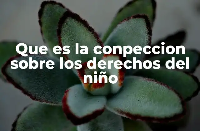 El marco global para la protección infantil