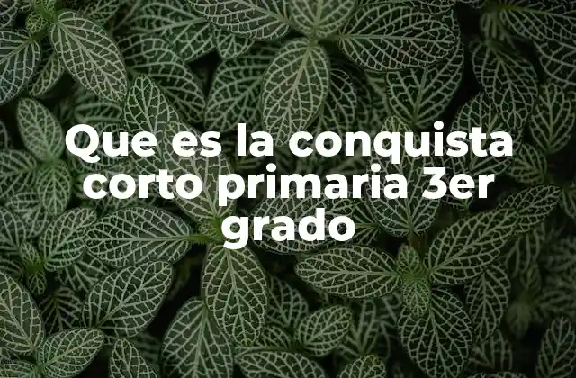 Historia de las primeras conquistas