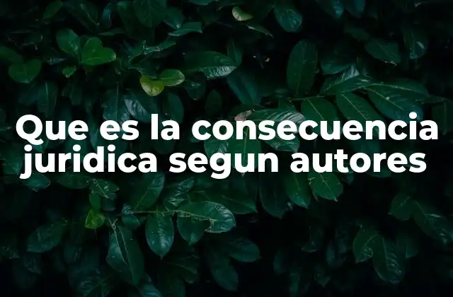 Que es la Consecuencia Juridica Segun Autores