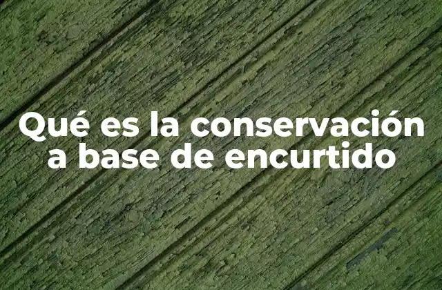 Qué es la Conservación a Base de Encurtido