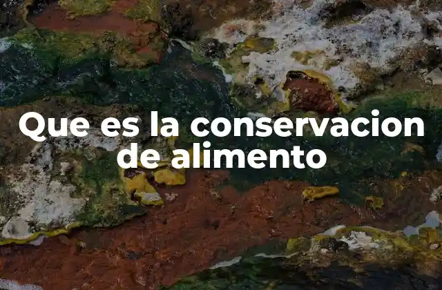 Que es la Conservacion de Alimento