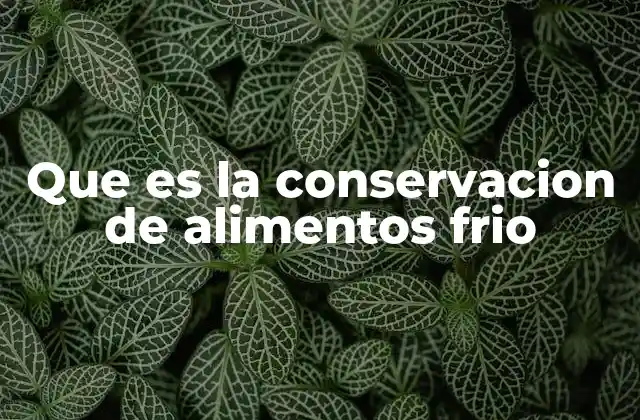 Que es la Conservacion de Alimentos Frio 2 Cómo la temperatura controlada mantiene seguros los alimentos