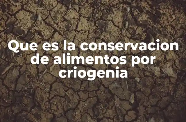 La ciencia detrás de la preservación a bajas temperaturas
