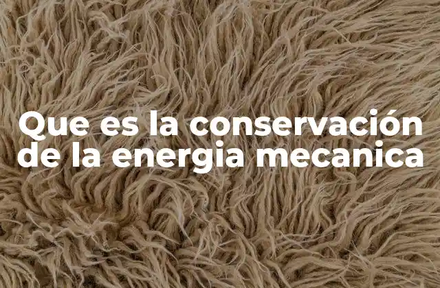 Que es la Conservación de la Energia Mecanica