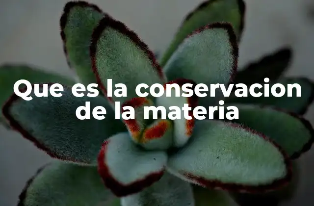 Que es la Conservacion de la Materia
