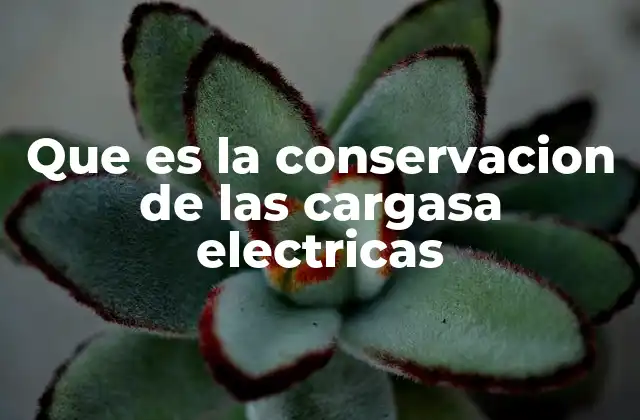 Que es la Conservacion de las Cargasa Electricas 2 La importancia de mantener una energía eléctrica eficiente