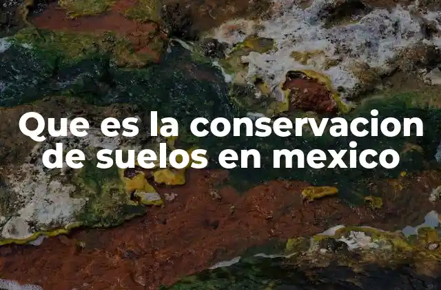 Que es la Conservacion de Suelos en Mexico