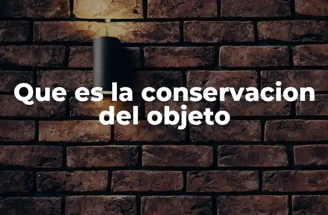 Que es la Conservacion Del Objeto 2 El rol de la conservación en la preservación del patrimonio cultural