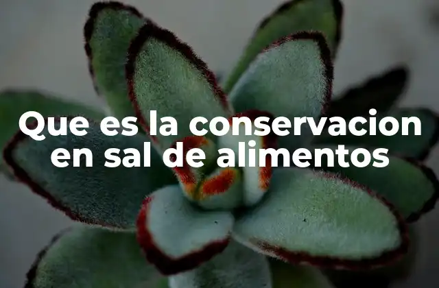 Que es la Conservacion en Sal de Alimentos