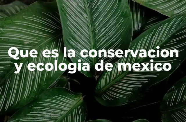 Que es la Conservacion y Ecologia de Mexico