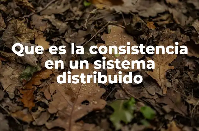 Que es la Consistencia en un Sistema Distribuido