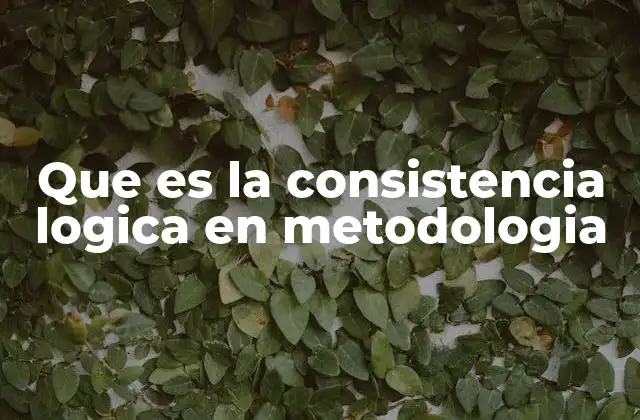 Que es la Consistencia Logica en Metodologia