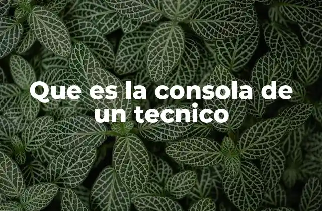 Que es la Consola de un Tecnico