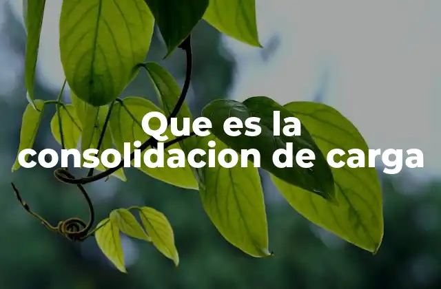 Que es la Consolidacion de Carga