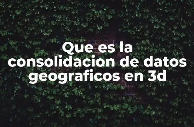 Que es la Consolidacion de Datos Geograficos en 3d