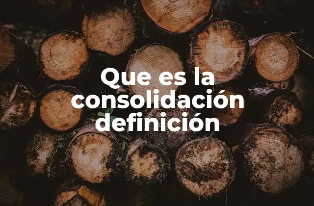 Que es la Consolidación Definición