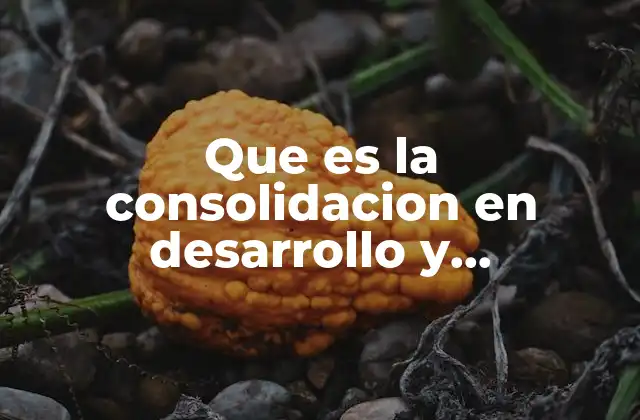 Que es la Consolidacion en Desarrollo y Crecimiento Economico