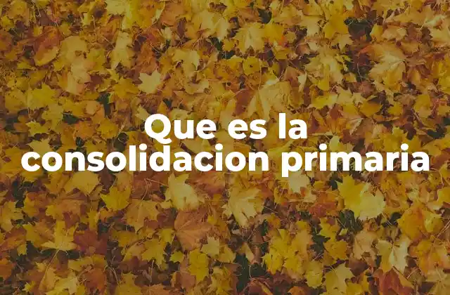 Que es la Consolidacion Primaria