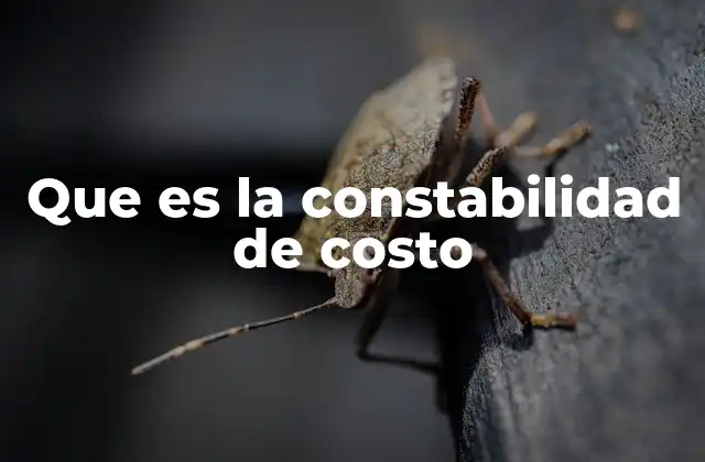 Que es la Constabilidad de Costo