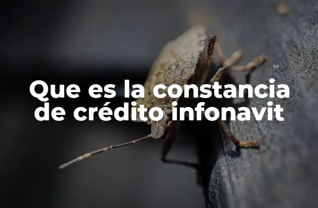 El papel del INFONAVIT en el acceso a la vivienda