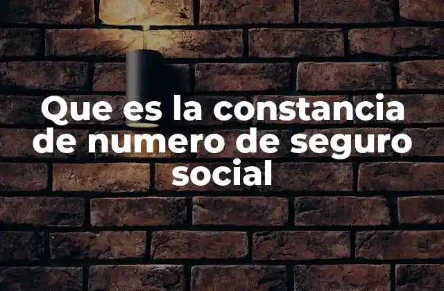 Que es la Constancia de Numero de Seguro Social