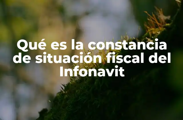 Qué es la Constancia de Situación Fiscal Del Infonavit