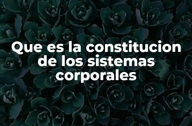 Que es la Constitucion de los Sistemas Corporales