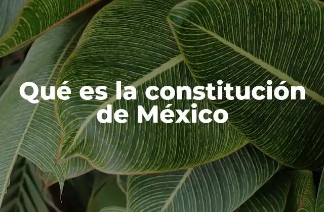 Qué es la Constitución de México