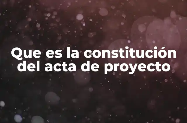 Que es la Constitución Del Acta de Proyecto