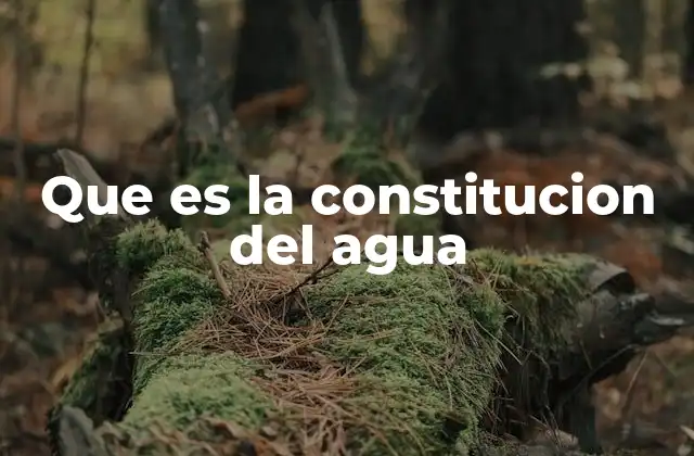 Que es la Constitucion Del Agua 2 La estructura molecular y sus implicaciones