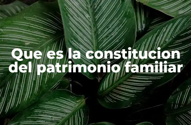 Que es la Constitucion Del Patrimonio Familiar