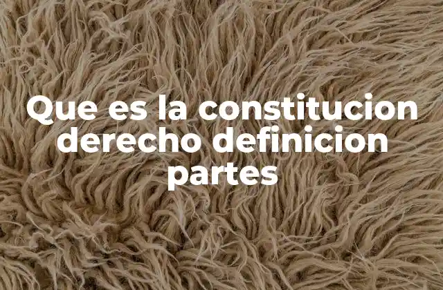 Estructura y contenido de la Constitución