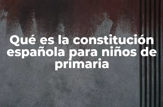 Cómo la Constitución afecta a tu vida diaria