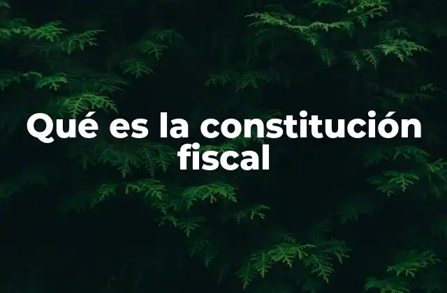 Qué es la Constitución Fiscal