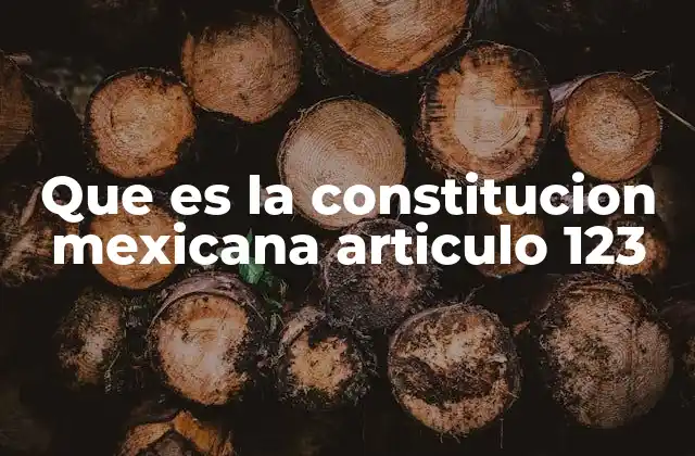 Que es la Constitucion Mexicana Articulo 123