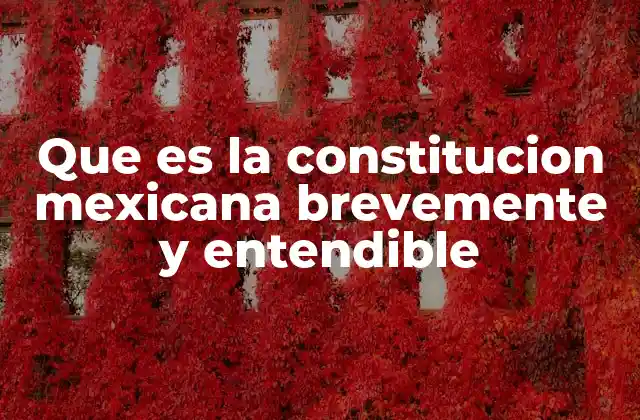 Que es la Constitucion Mexicana Brevemente y Entendible
