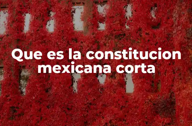 Que es la Constitucion Mexicana Corta