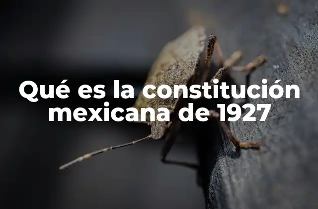 Qué es la Constitución Mexicana de 1927 2 El origen y evolución de la Constitución mexicana