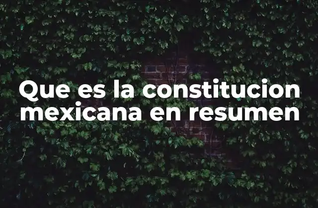 Que es la Constitucion Mexicana en Resumen