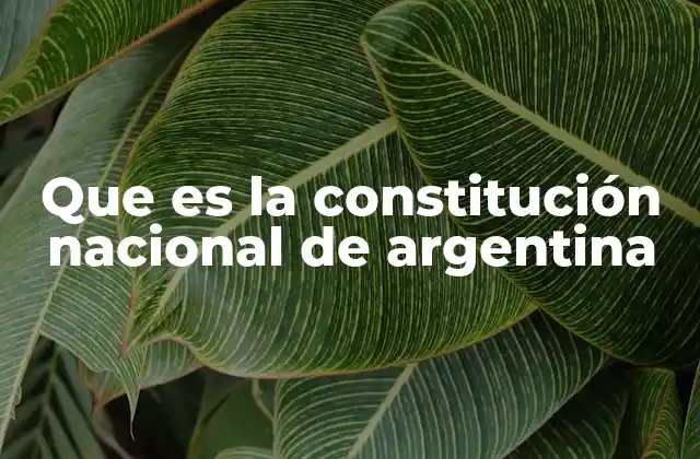 Que es la Constitución Nacional de Argentina