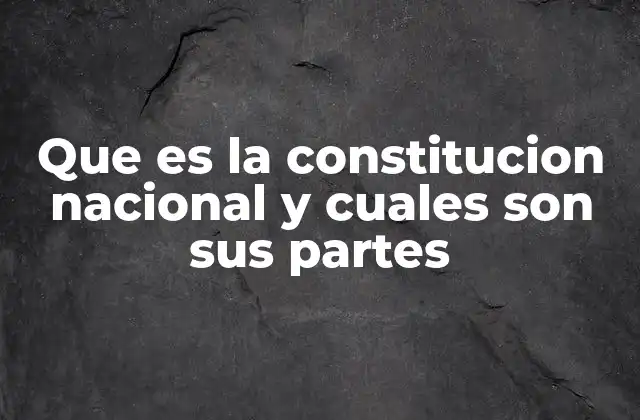 Que es la Constitucion Nacional y Cuales Son Sus Partes