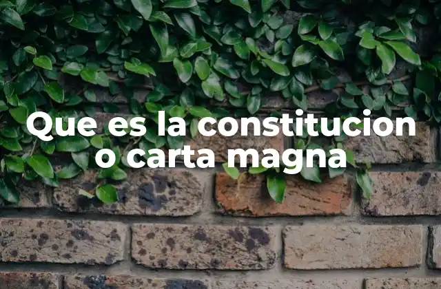 Que es la Constitucion o Carta Magna