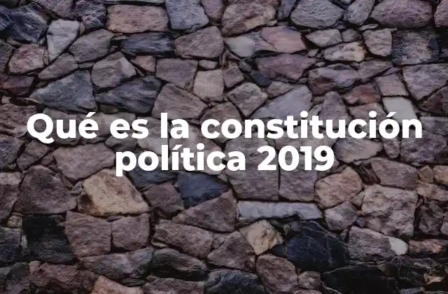Qué es la Constitución Política 2019