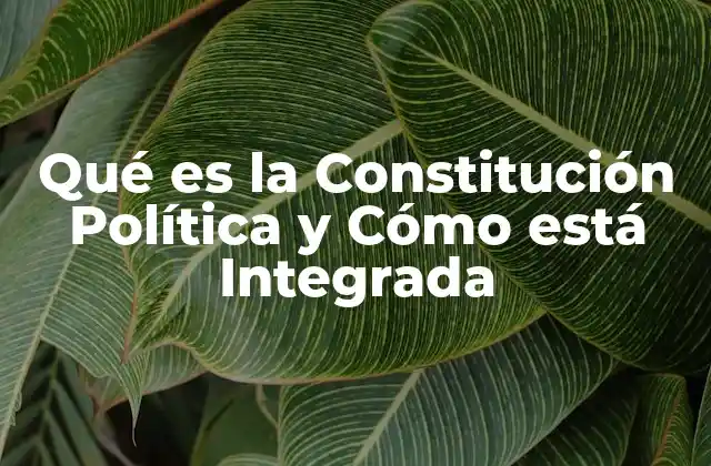 Qué es la Constitución Política y Cómo Está Integrada