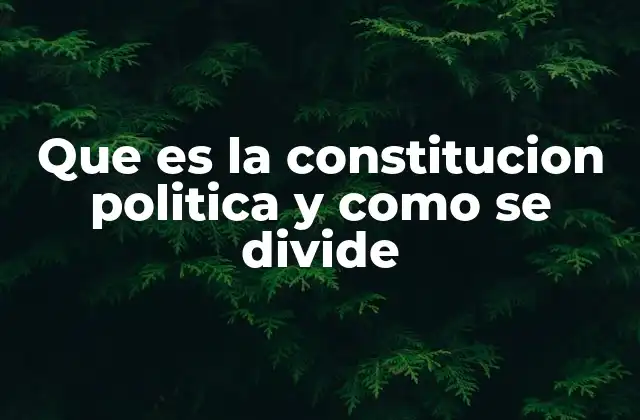 Que es la Constitucion Politica y como Se Divide